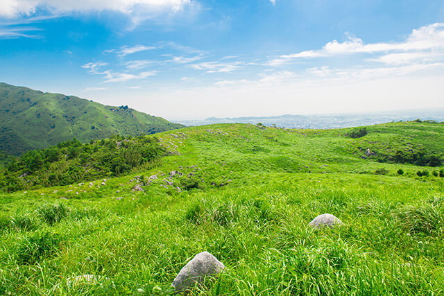 店舗概要・アクセス